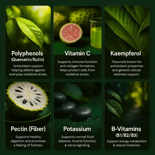 GraviPure wellness drops with antioxidant formula and immune support supplement benefits, traditionally used for its potential anti-cancer properties.